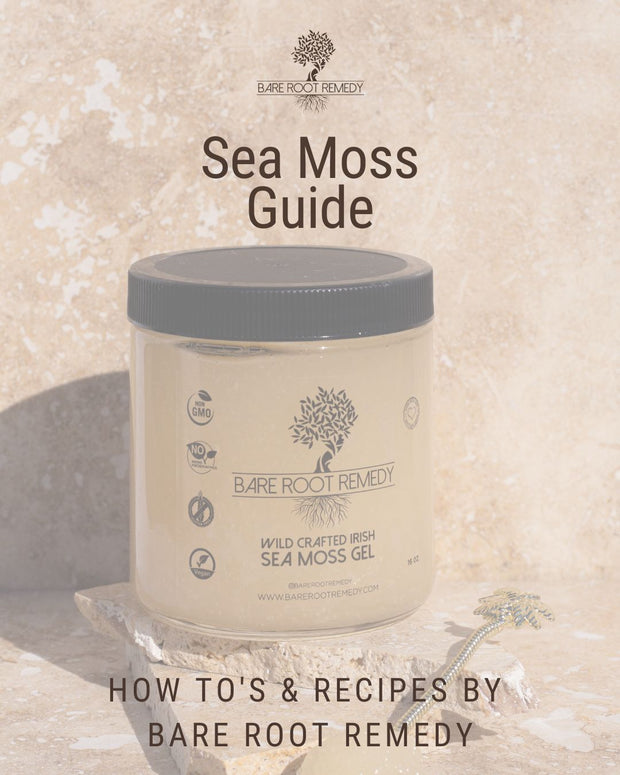 Sea Moss Guide: How To's & Recipes!